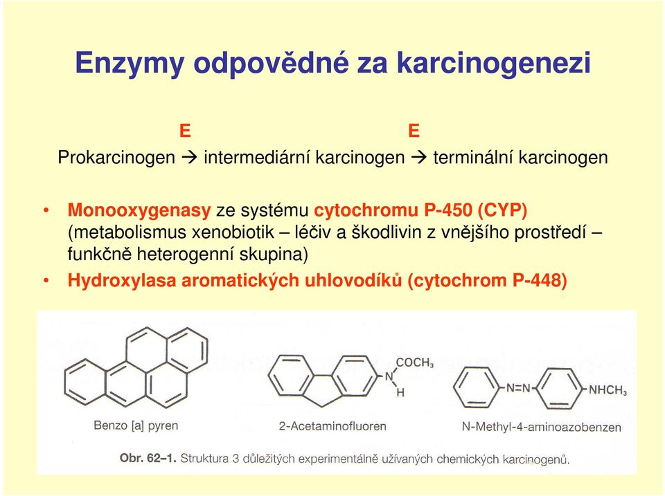 P-450 (CYP) (metabolismus xenobiotik léčiv a škodlivin z vnějšího