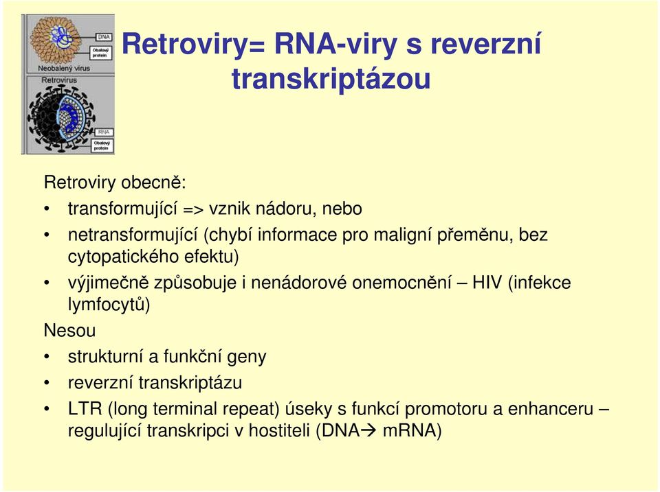 nenádorové onemocnění HIV (infekce lymfocytů) Nesou strukturní a funkční geny reverzní transkriptázu