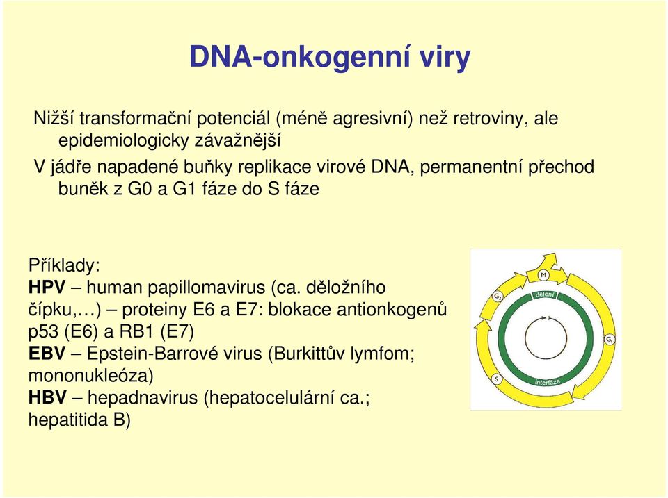 Příklady: HPV human papillomavirus (ca.