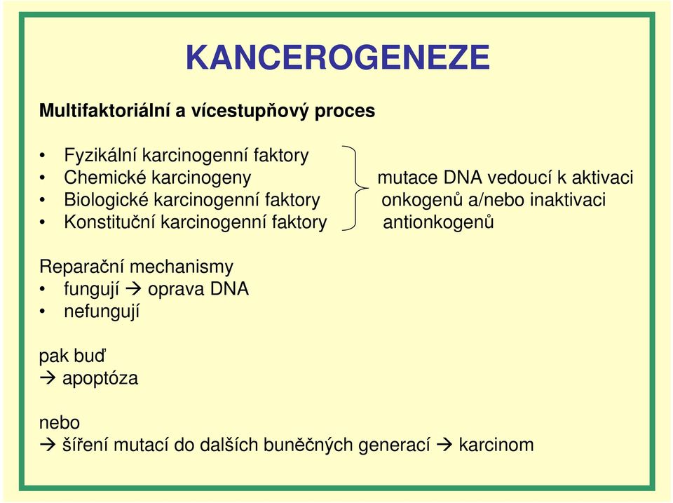 onkogenů a/nebo inaktivaci Konstituční karcinogenní faktory antionkogenů Reparační