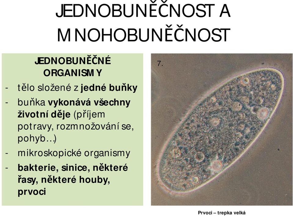 (příjem potravy, rozmnožování se, pohyb ) - mikroskopické