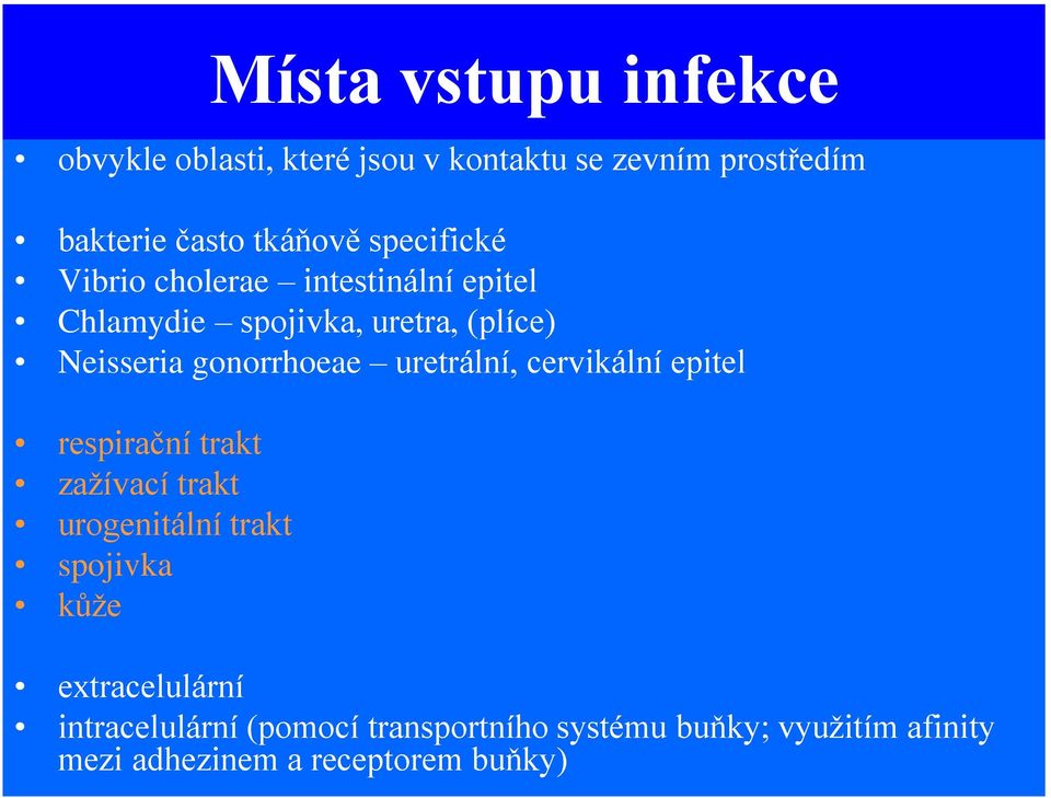 uretrální, cervikální epitel respirační trakt zažívací trakt urogenitální trakt spojivka kůže