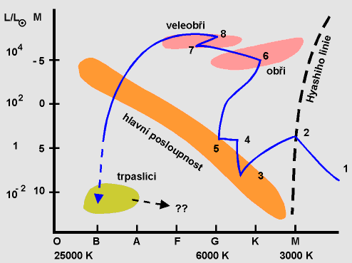 Vývoj hvězd HR diagram Hertzprungův-Russelův diagram 1-2 protohvězda, smršťování volným pádem, 2 rovnováha gravitace a tlaku látky 2-3 pomalé smršťování při rovnováze 3 zapálení TJ reakcí hlavní posl.