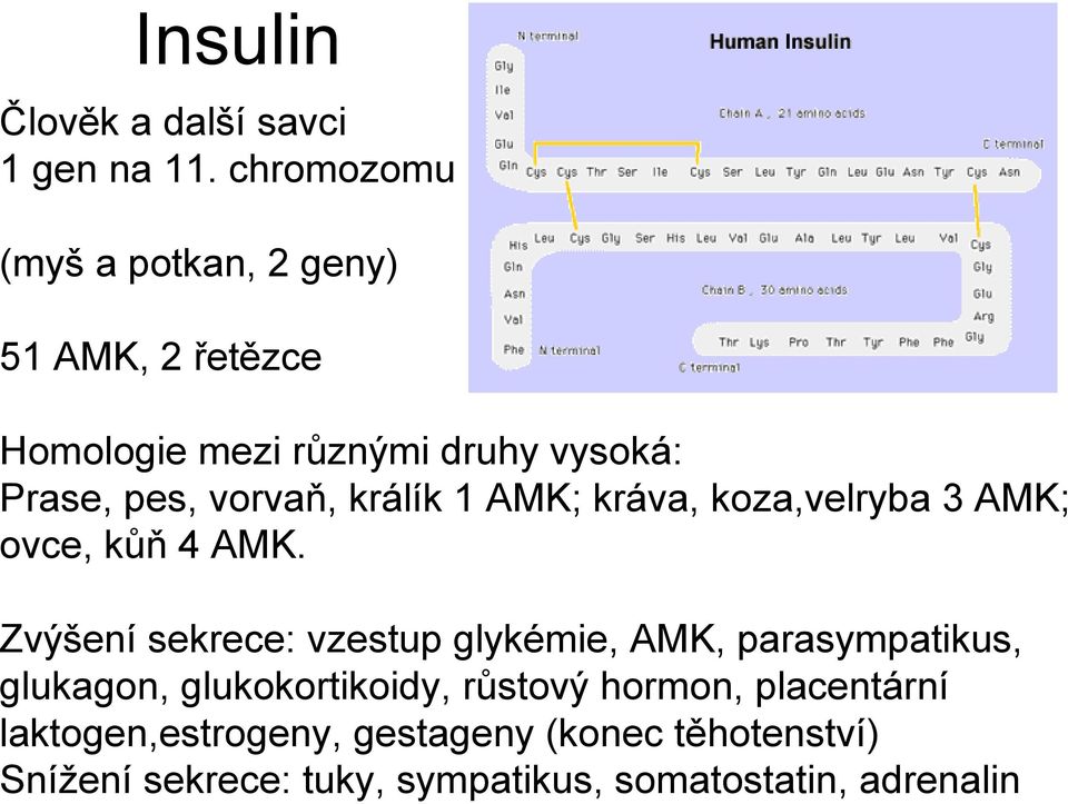 vorvaň, králík 1 AMK; kráva, koza,velryba 3 AMK; ovce, kůň 4 AMK.