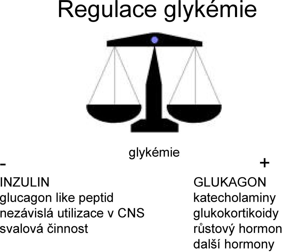 CNS svalová činnost GLUKAGON katecholaminy