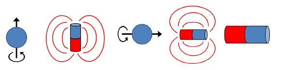 Magnetický dipólový moment Vlivem vnitřní rotace částice se magnetoelektrickou indukcí generuje magnetický dipólový moment µ: μ = γs μ z = γs z Konstantou úměry je tzv.