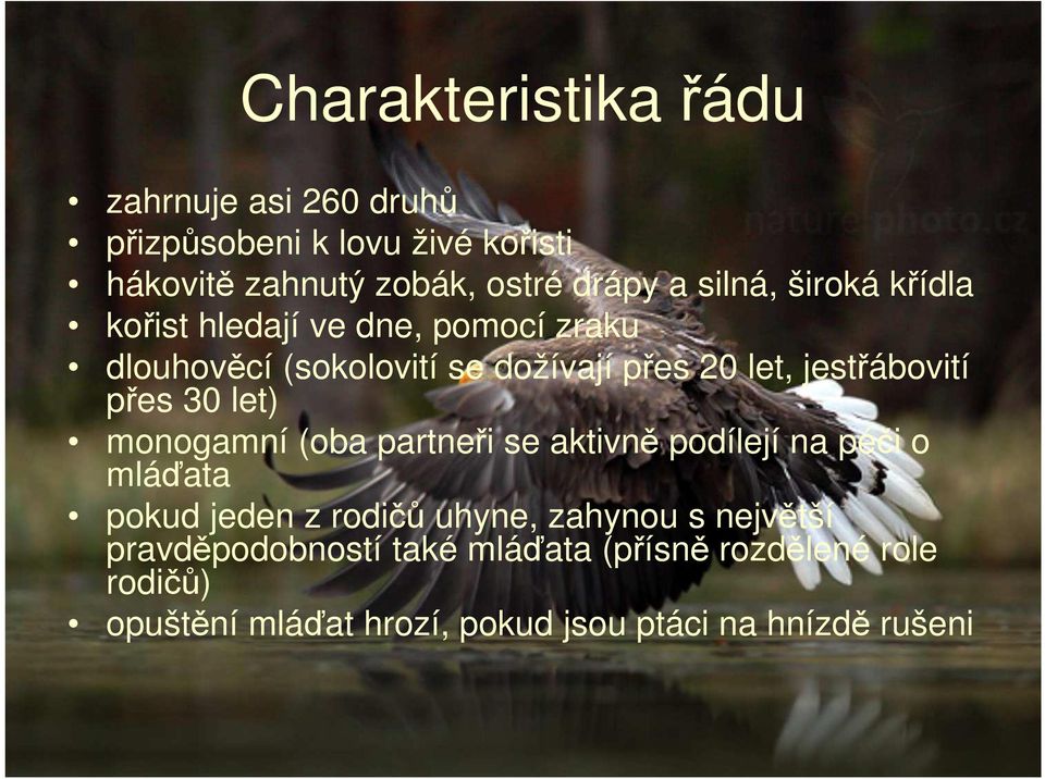 přes 30 let) monogamní (oba partneři se aktivně podílejí na péči o mláďata pokud jeden z rodičů uhyne, zahynou s