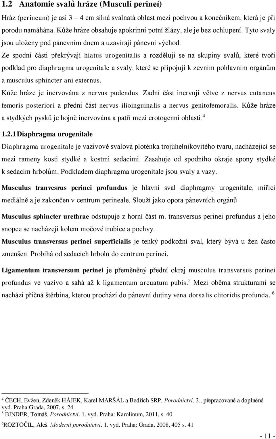 Ze spodní části překrývají hiatus urogenitalis a rozdělují se na skupiny svalů, které tvoří podklad pro diaphragma urogenitale a svaly, které se připojují k zevním pohlavním orgánům a musculus