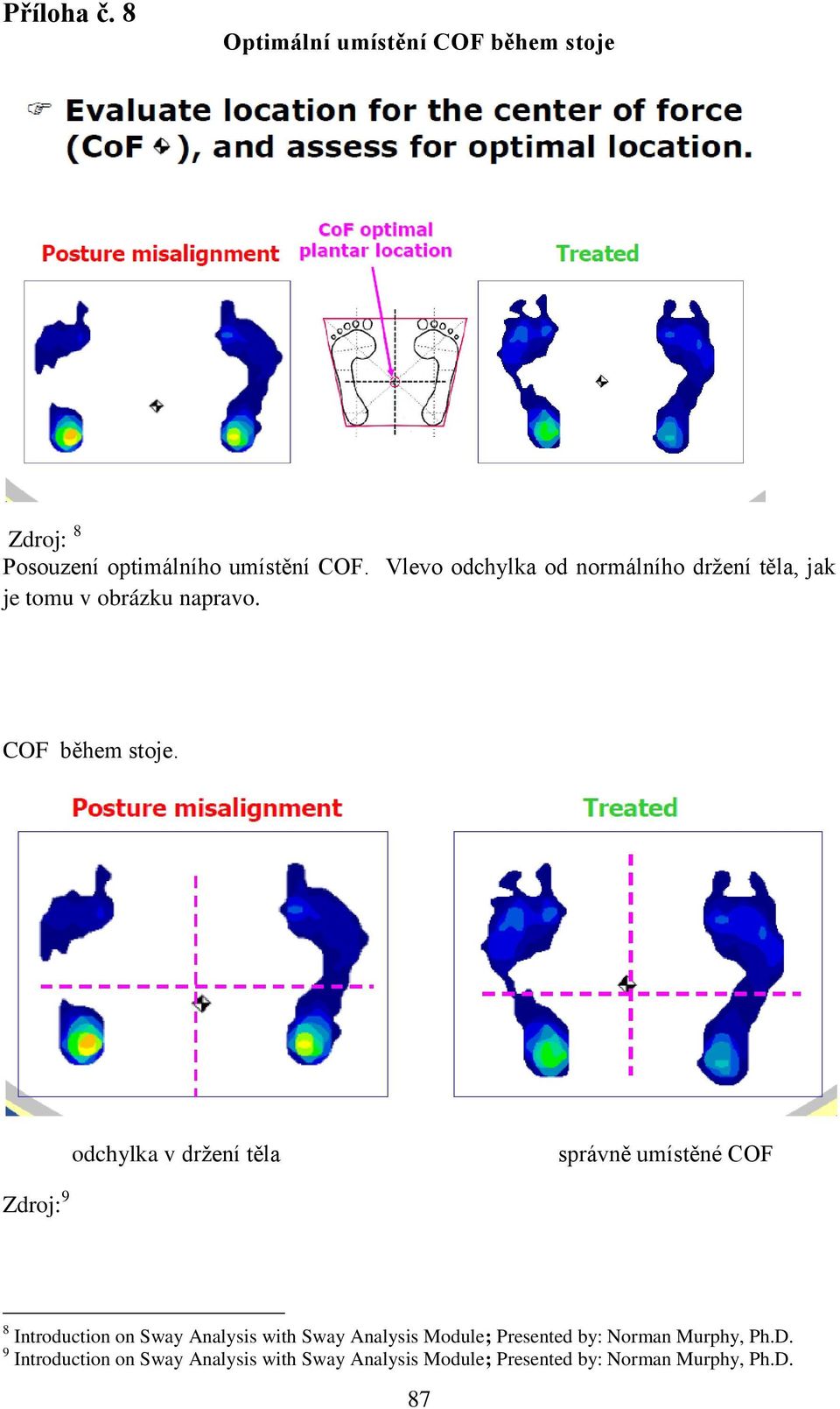 odchylka v drţení těla správně umístěné COF Zdroj: 9 8 Introduction on Sway Analysis with Sway Analysis
