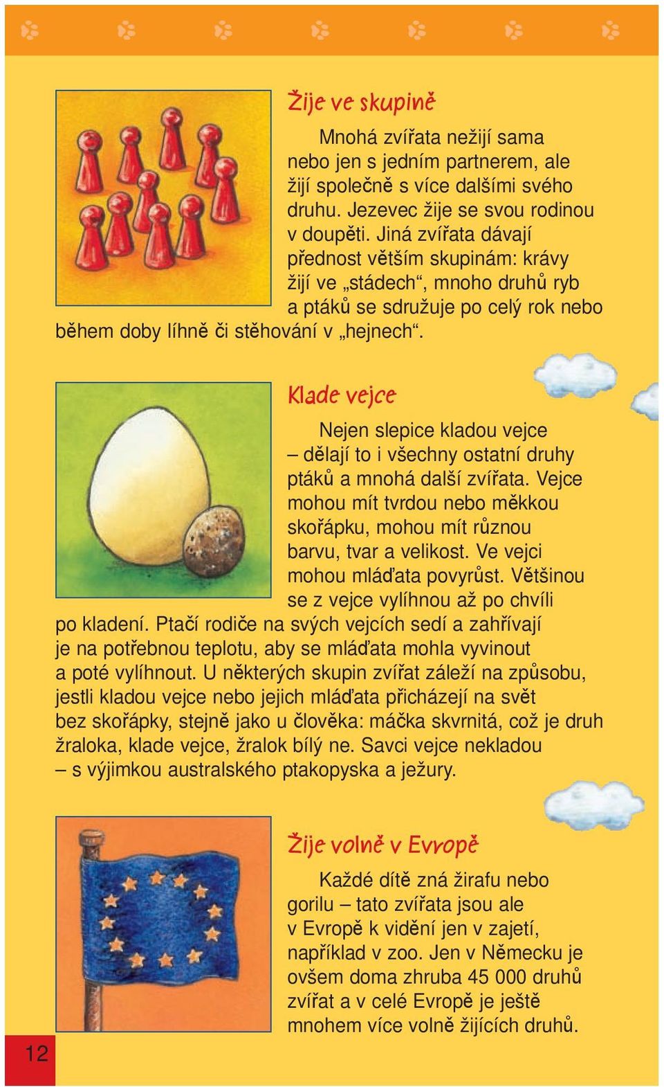Klade vejce Nejen slepice kladou vejce dělají to i všechny ostatní druhy ptáků a mnohá další zvířata. Vejce mohou mít tvrdou nebo měkkou skořápku, mohou mít různou barvu, tvar a velikost.