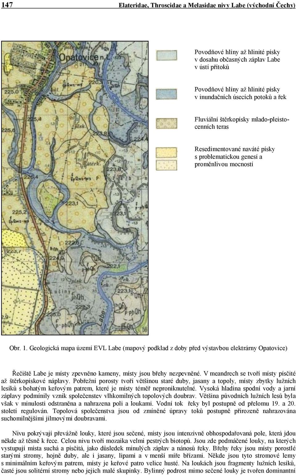 Geologická mapa území EVL Labe (mapový podklad z doby před výstavbou elektrárny Opatovice) Řečiště Labe je místy zpevněno kameny, místy jsou břehy nezpevněné.