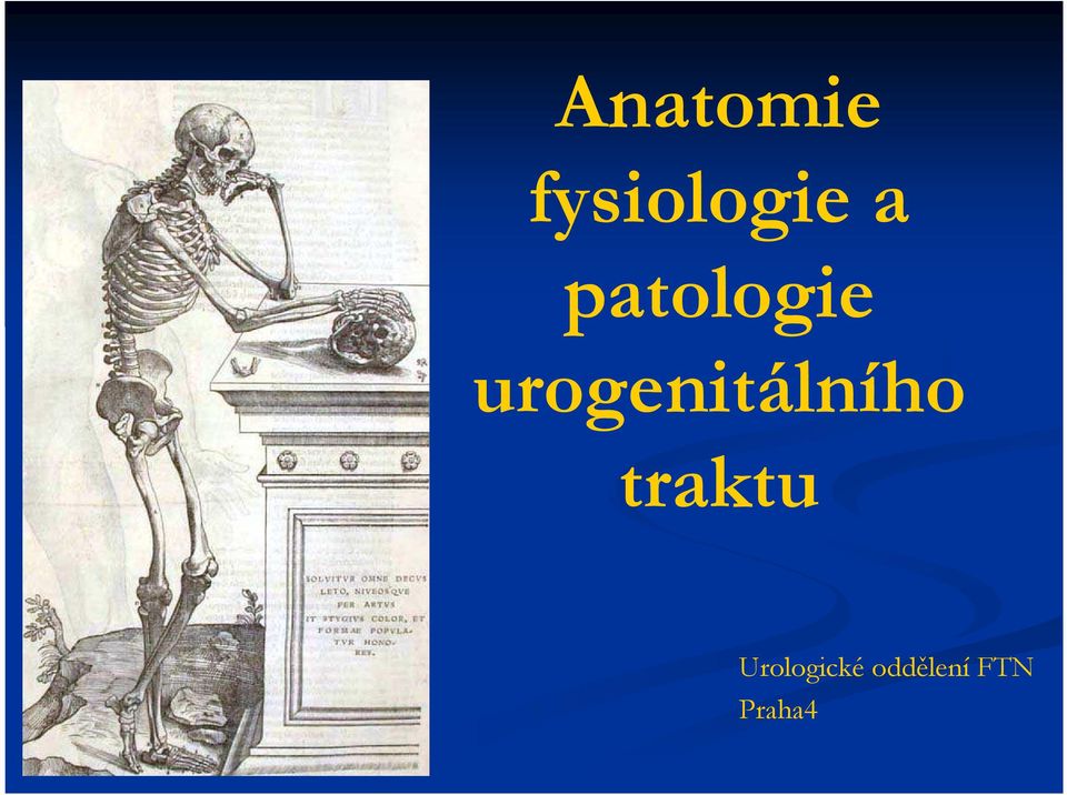 urogenitálního