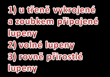 4. Co je pod kloboukem? Spodní strana klobouku je nejvýznamnější částí houby. Nachází se zde totiž výtrusorodé rouško. Povrch rouška je zvětšen pomocí útvarů, které vnímáme jako lupeny a rourky.