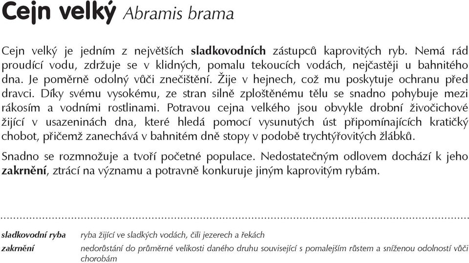 Potravou cejna velkého jsou obvykle drobní živočichové žijící v usazeninách dna, které hledá pomocí vysunutých úst připomínajících kratičký chobot, přičemž zanechává v bahnitém dně stopy v podobě