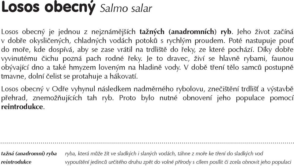 Je to dravec, živí se hlavně rybami, faunou obývající dno a také hmyzem loveným na hladině vody. V době tření tělo samců postupně tmavne, dolní čelist se protahuje a hákovatí.