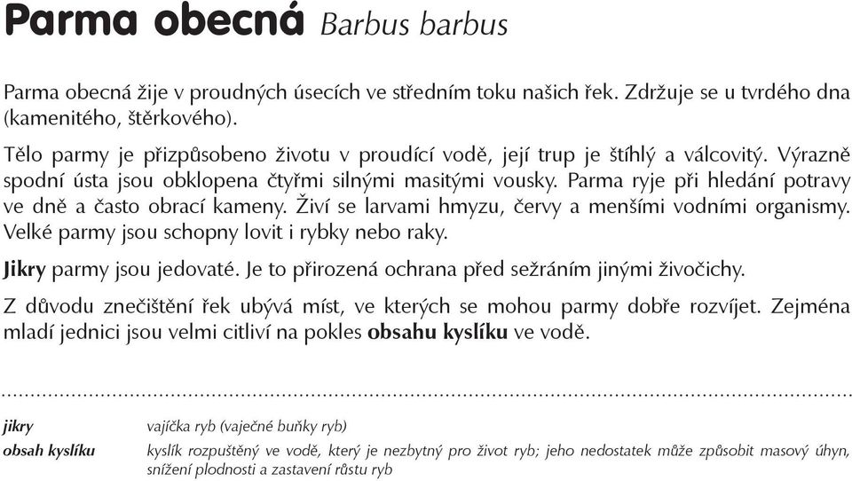 Parma ryje při hledání potravy ve dně a často obrací kameny. Živí se larvami hmyzu, červy a menšími vodními organismy. Velké parmy jsou schopny lovit i rybky nebo raky. Jikry parmy jsou jedovaté.