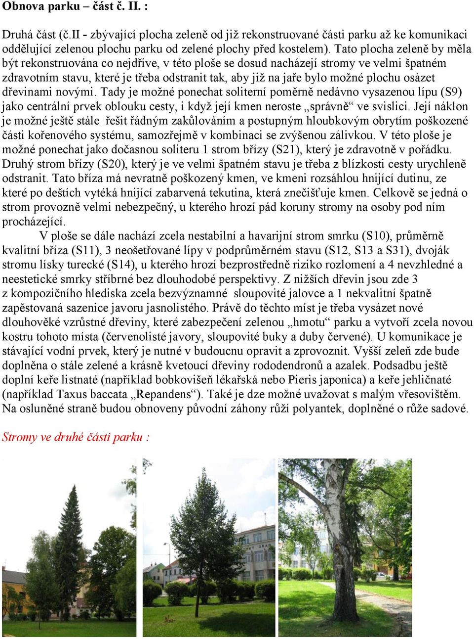 osázet dřevinami novými. Tady je možné ponechat soliterní poměrně nedávno vysazenou lípu (S9) jako centrální prvek oblouku cesty, i když její kmen neroste správně ve svislici.