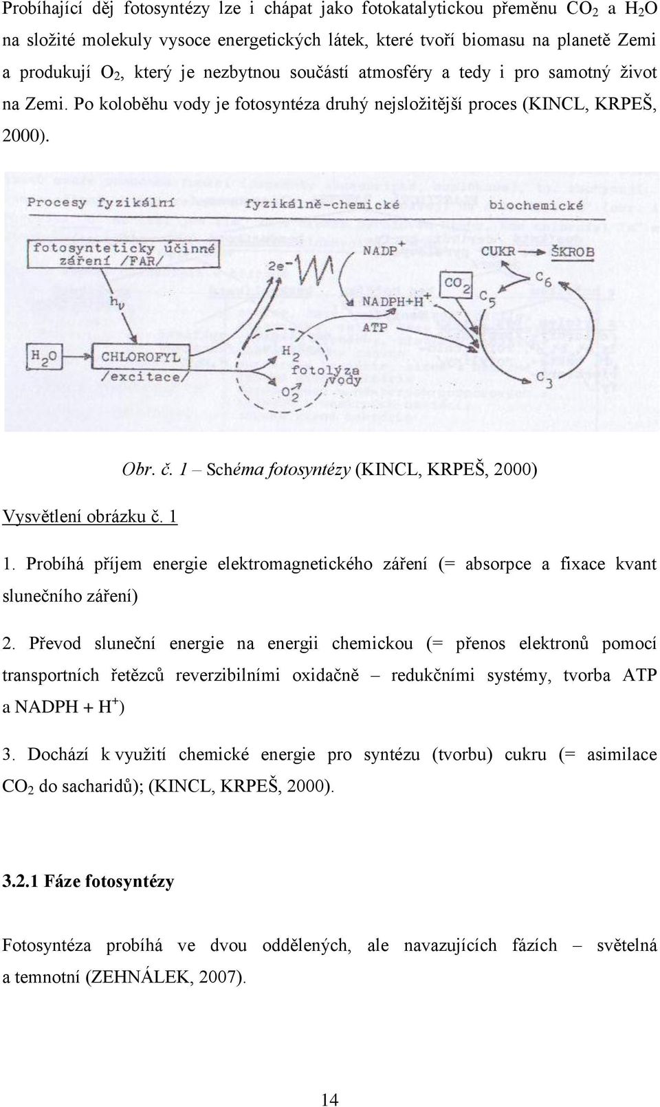 1 Schéma fotosyntézy (KINCL, KRPEŠ, 2000) Vysvětlení obrázku č. 1 1. Probíhá příjem energie elektromagnetického záření (= absorpce a fixace kvant slunečního záření) 2.