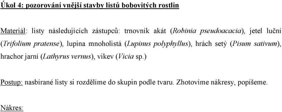 mnoholistá (Lupinus polyphyllus), hrách setý (Pisum sativum), hrachor jarní (Lathyrus vernus),