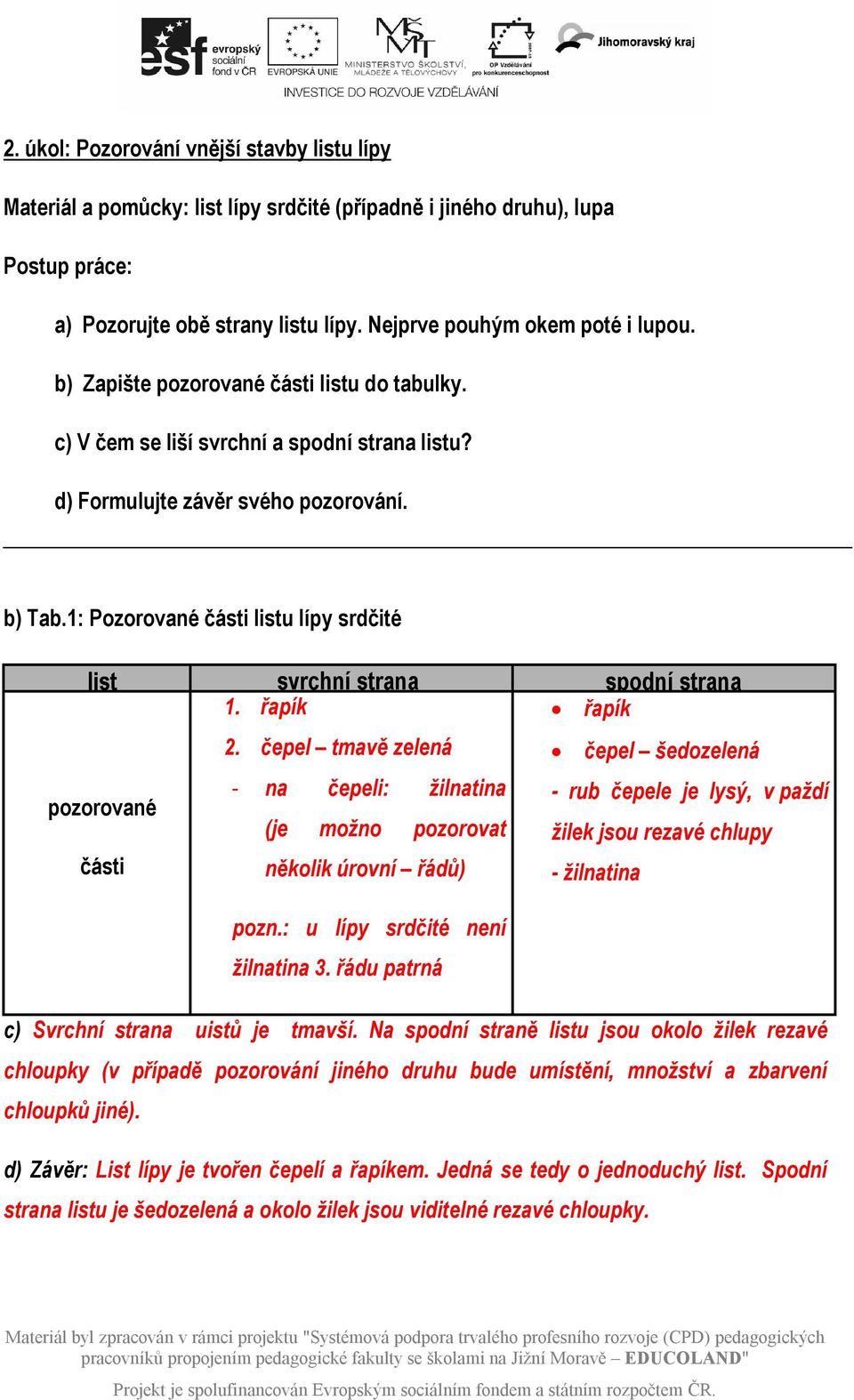 1: Pozorované části listu lípy srdčité list svrchní strana spodní strana 1. řapík 2.