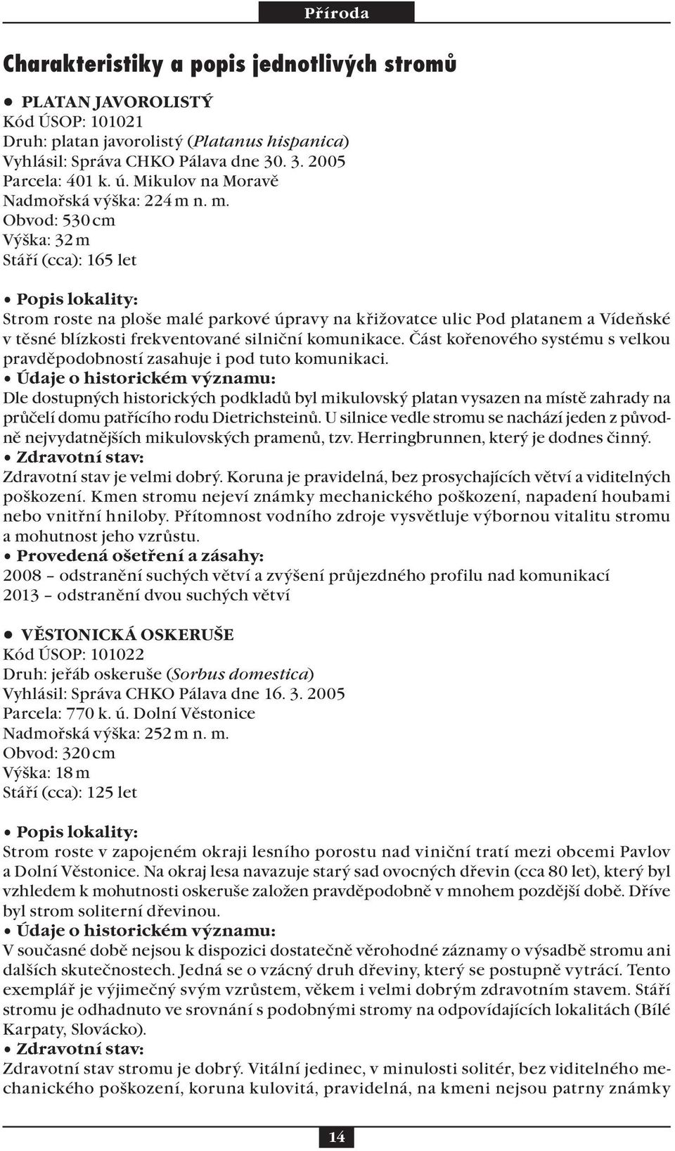 n. m. Obvod: 530 cm Výška: 32 m Stáří (cca): 165 let Strom roste na ploše malé parkové úpravy na křižovatce ulic Pod platanem a Vídeňské v těsné blízkosti frekventované silniční komunikace.