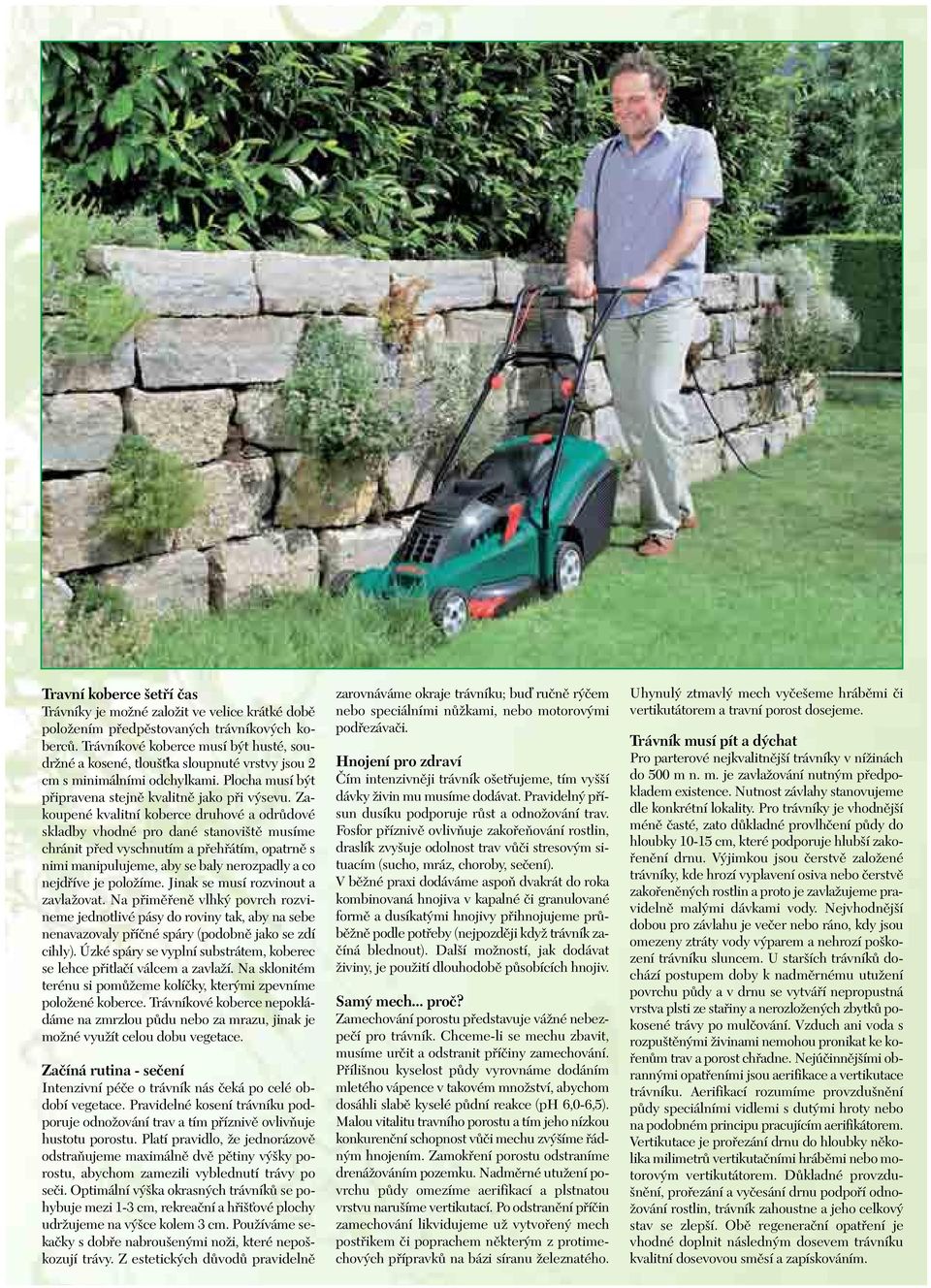 Zakoupené kvalitní koberce druhové a odrůdové skladby vhodné pro dané stanoviště musíme chránit před vyschnutím a přehřátím, opatrně s nimi manipulujeme, aby se baly nerozpadly a co nejdříve je