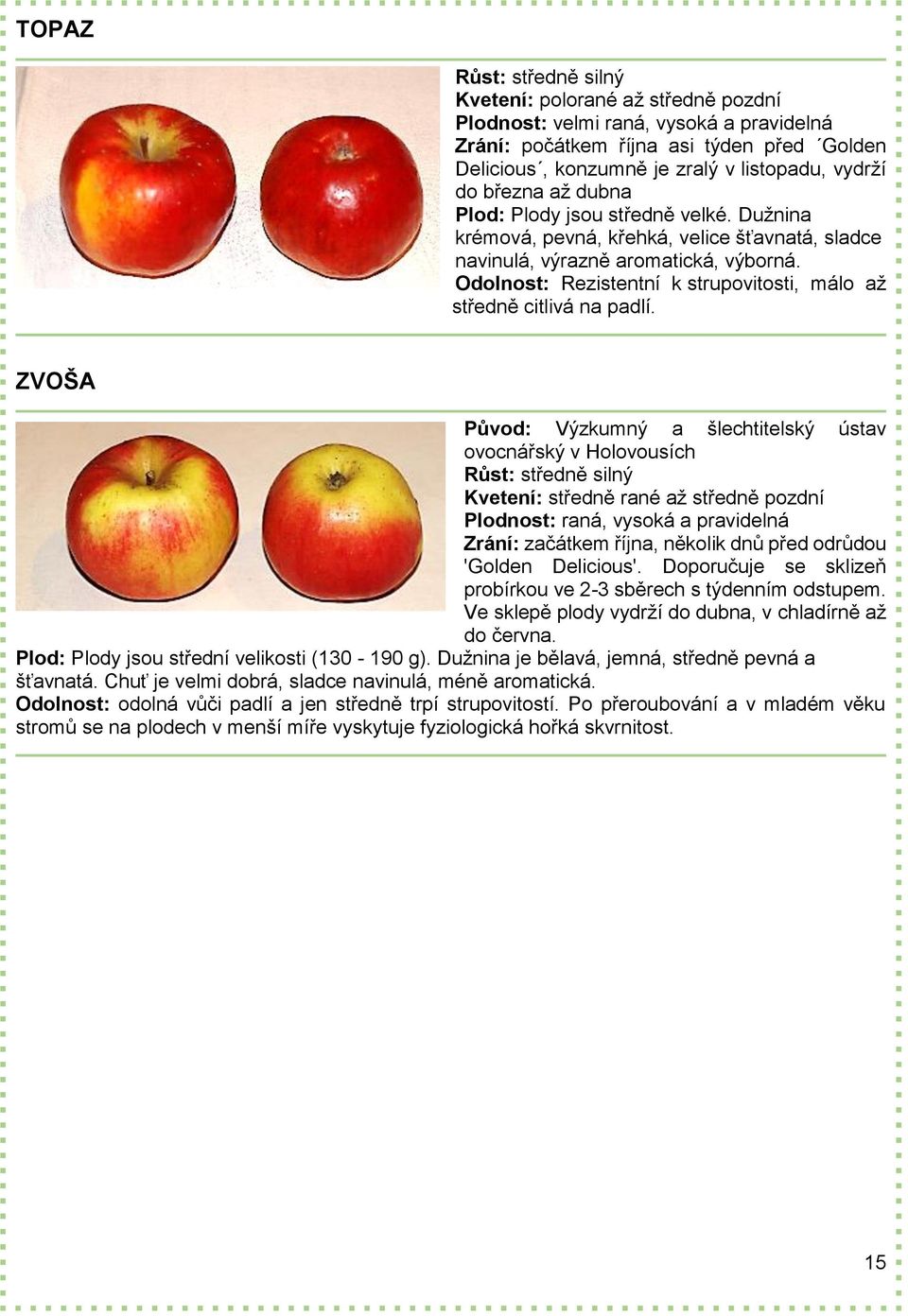 ZVOŠA Kvetení: středně rané až středně pozdní Plodnost: raná, vysoká a pravidelná Zrání: začátkem října, několik dnů před odrůdou 'Golden Delicious'.