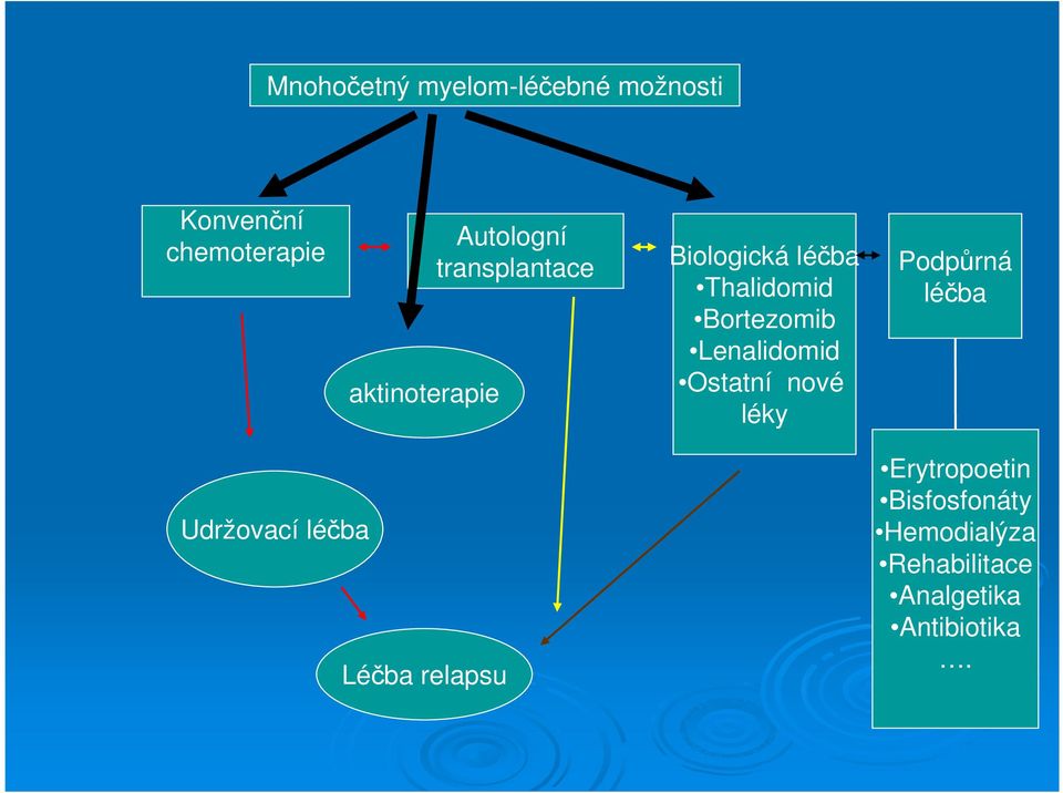 Bortezomib Lenalidomid Ostatní nové léky Podpůrná léčba Udržovací