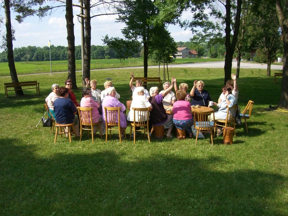 ŠOV = obnova vesnice studiem, stustudiem, a to studiem realizovaným přímo na vesnici.