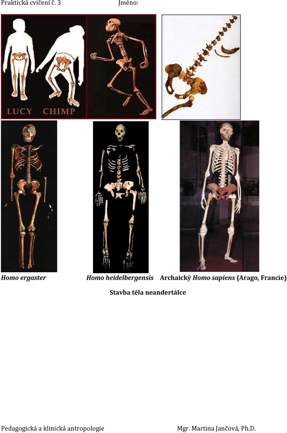 Archaický Homo sapiens
