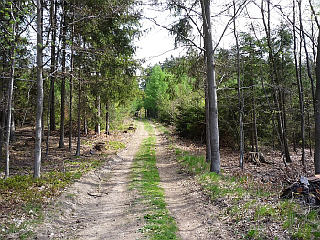 podmáčená louka (snímek z října 2009). XX.