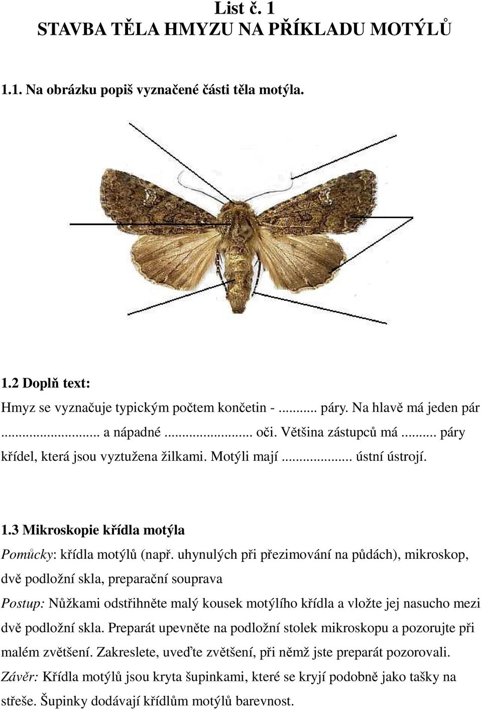 uhynulých při přezimování na půdách), mikroskop, dvě podložní skla, preparační souprava Postup: Nůžkami odstřihněte malý kousek motýlího křídla a vložte jej nasucho mezi dvě podložní skla.