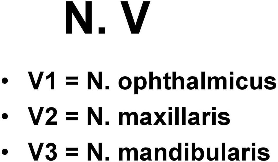 = N. maxillaris