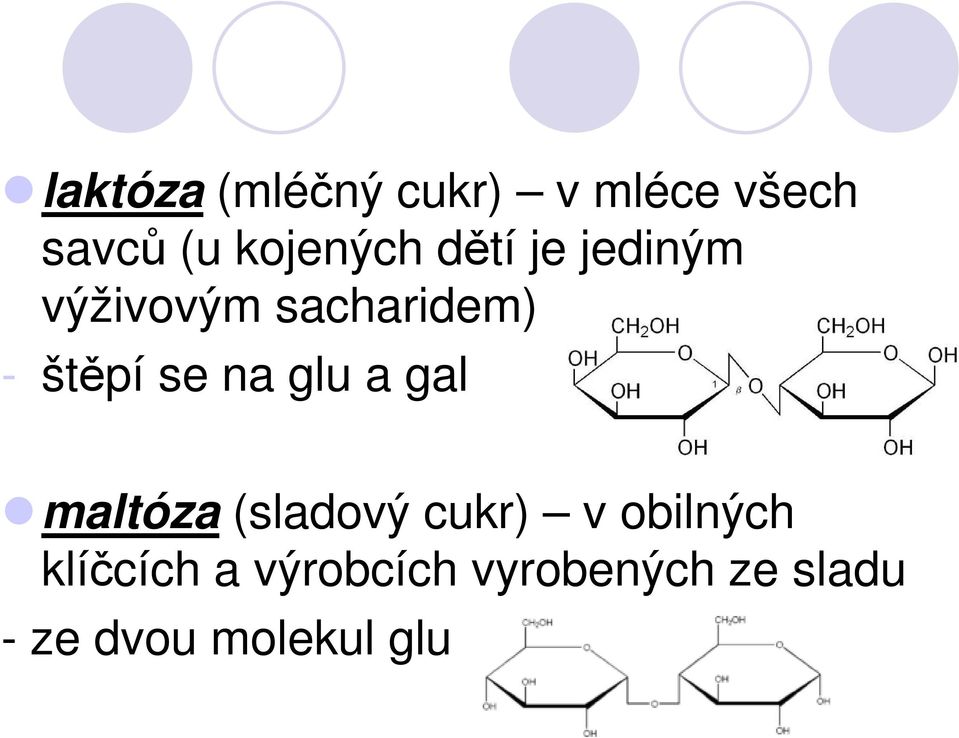 štěpí se na glu a gal maltóza (sladový cukr) v