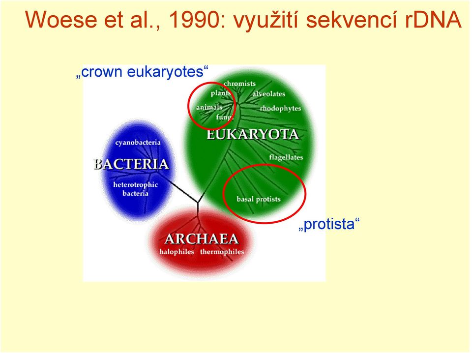 sekvencí rdna