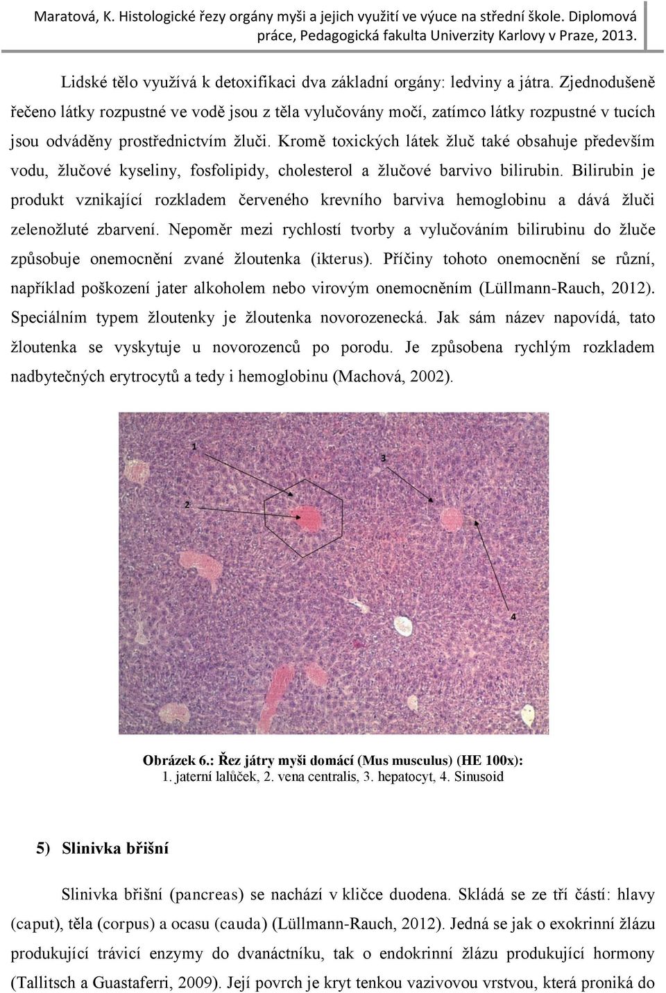 Kromě toxických látek žluč také obsahuje především vodu, žlučové kyseliny, fosfolipidy, cholesterol a žlučové barvivo bilirubin.