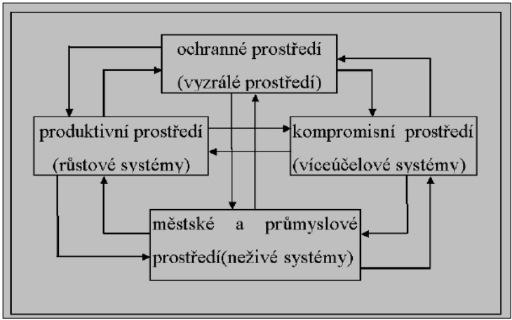 Vývojové/typové homeostáza