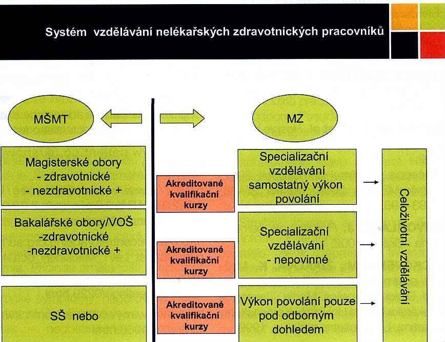 vzdělávání