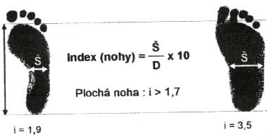 Změřená šířka nohy násobena deseti se vydělí délkou nohy (viz obr. č. 10). Hodnota indexu do 1.6 značí správně klenutou nohu, pro plochou nohu pak index nabývá hodnot 1.7 a vyšších (Srdečný, 1982).