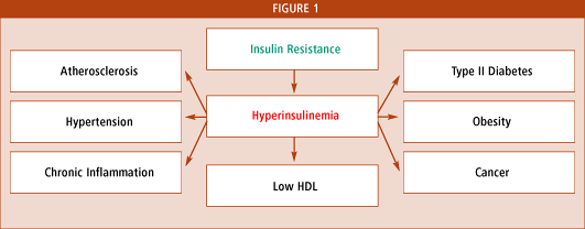 Inzulinová rezistence Játra produkují stále glukózu (neví, že je jí dostatek) Slinivka reaguje na nadbytek glukózy zvýšením produkce inzulinu diabetes 2.