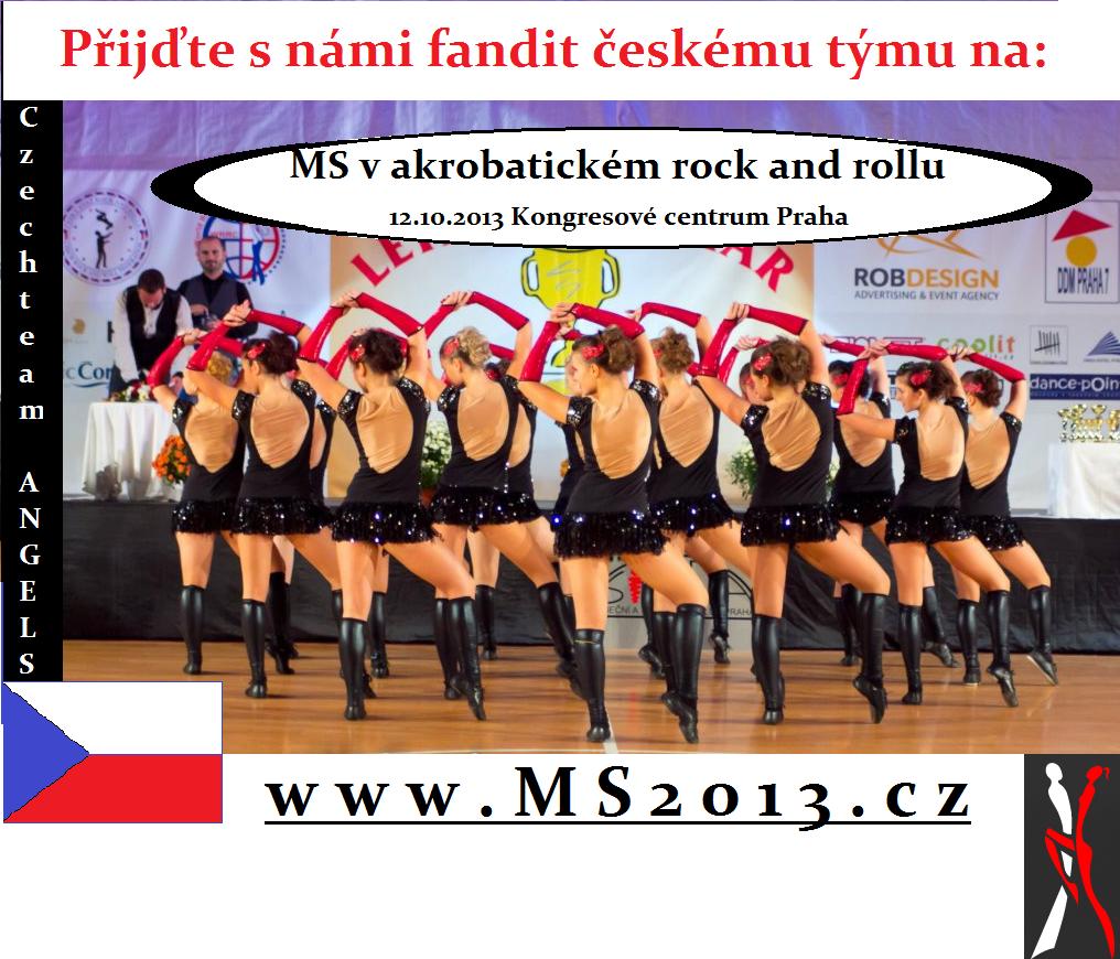 Příloha č.