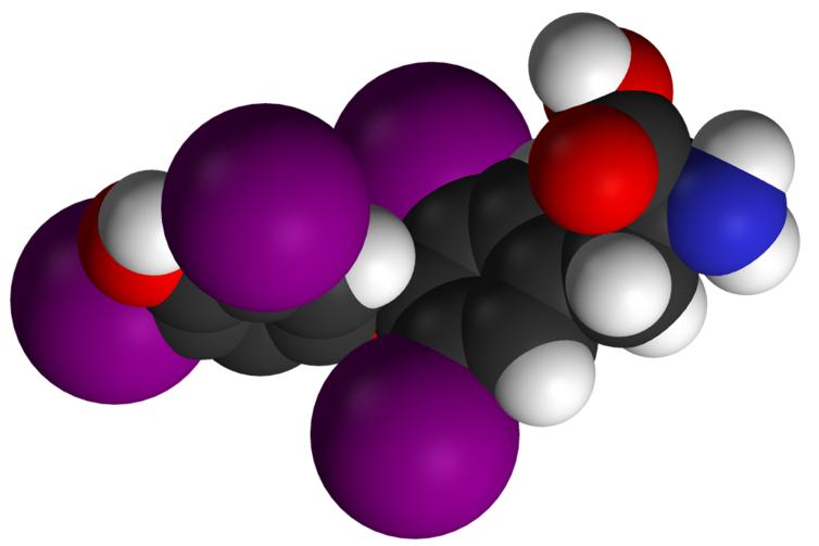 Thyroidní Hormony 3,5,3 -trijodothyronin (T