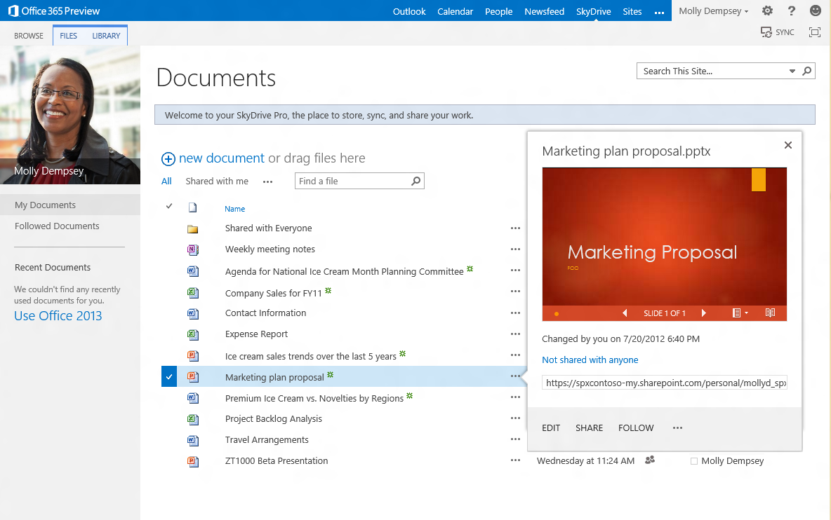 Ze služby SkyDrive Pro nebo týmových webů SharePoint můžete sdílet zprávy o provedených kontrolách a převodech peněz