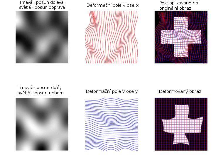 Na základě těchto deformačních polí, která jsou aplikována na původní obraz, je obraz transformován. Ukázka aplikace deformačních polí je na obrázku 3.
