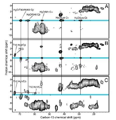Mikrokrystalické proteiny 2002 Experimenty s dvojitou cross-polarizací Castellani, F., van Rossum, B.J., Diehl, A., Schubert, M., Rehbein, K., and Oschkinat, H.