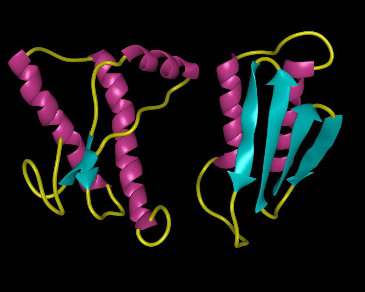 3D struktura prionových proteinů (2005) Meier B.H.