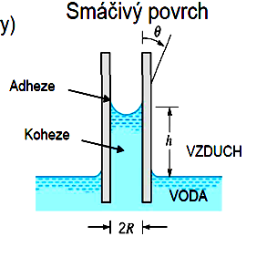 Měření povrchového napětí na základě povrchových jevů Hladina kapaliny v úzké trubici: -není rovinná, -