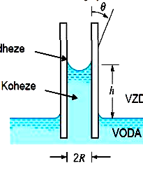 Na celý vnitřní obvod trubice o poloměru R připadá síla 2.R.cos, - ta udržuje v rovnováze tíhu