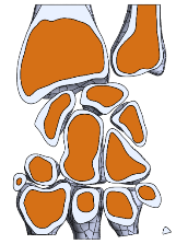 arteriografie, artroskopie, magnetická rezonance) [100].