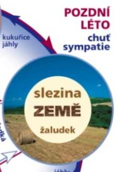 rozlišování mezi užitečným a neužitečným - zpracování, příjem, přeměny energie potravy Materie pro přenos energie krev, lymfa Práce ovlivňuje sílu,